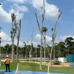 Parque da Cidade: O Novo Pulmão Verde de Belém